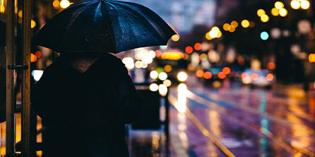 帕尔梅拉斯核心球员体能恢复，备战蒙特雷